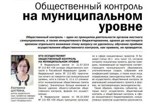 Опубликована статья Е.С. Шугриной об особенностях общественного контроля на муниципальном уровне