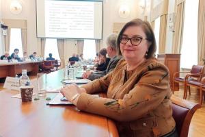 Вопросы территориальной организации публичной власти обсудили на площадке ВШЭ